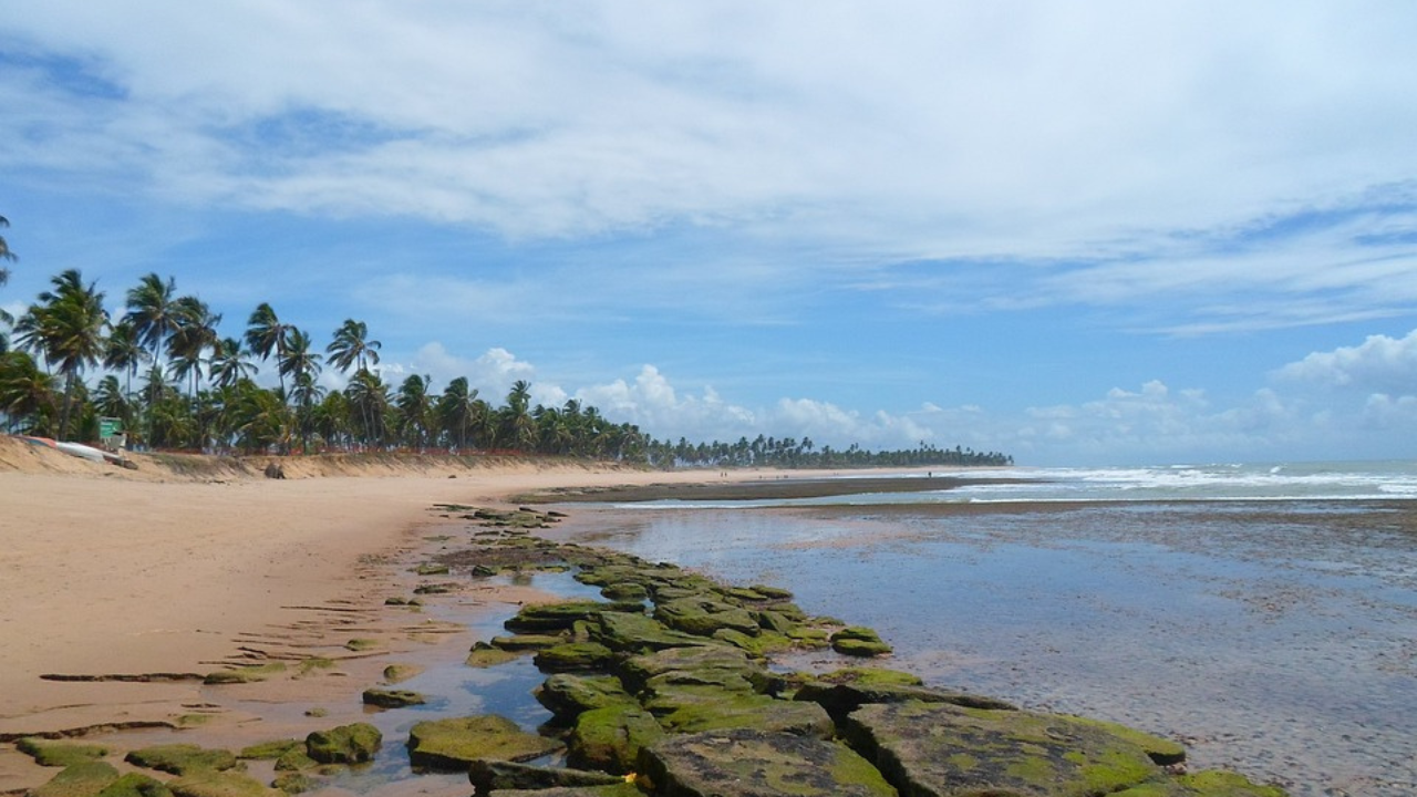 5 Melhores praias do Nordeste